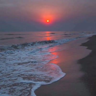 Fitri Handayani avatar